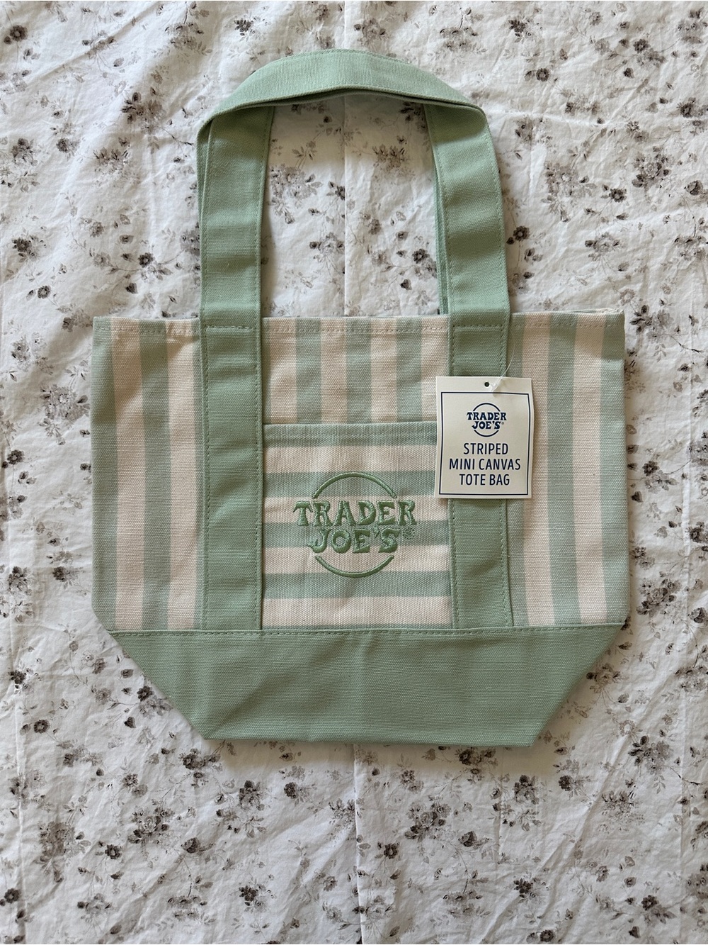 Trader Joe's Mint Green Striped Mini Canvas Tote